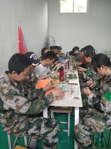 4水培花卉 4水培花卉