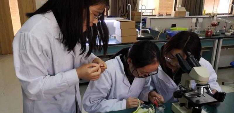 微信图片_20190719154252 微信图片_20190719154252