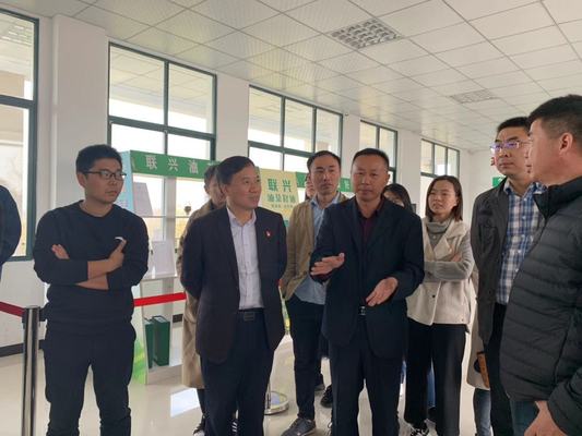 5 参观司马光油茶园 5 参观司马光油茶园