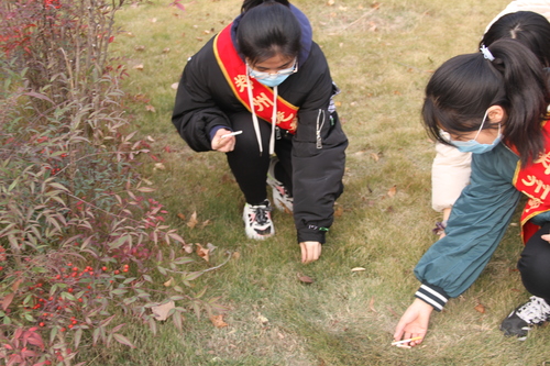 学生清理垃圾2 学生清理垃圾2