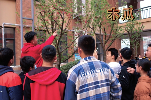 微信图片_20210325220734 微信图片_20210325220734